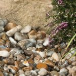 Oyster Gravel 20mm Poly Bag - Image 4