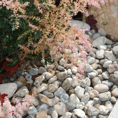 Oyster Gravel 40mm Poly Bag Uk Bricks Timber Pavers And Building Supplies 5841