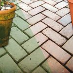 Patio Wizard 5L - Image 2