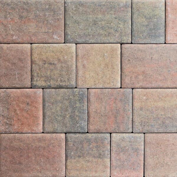 50mm Ashford Paver 3 Size Juniper