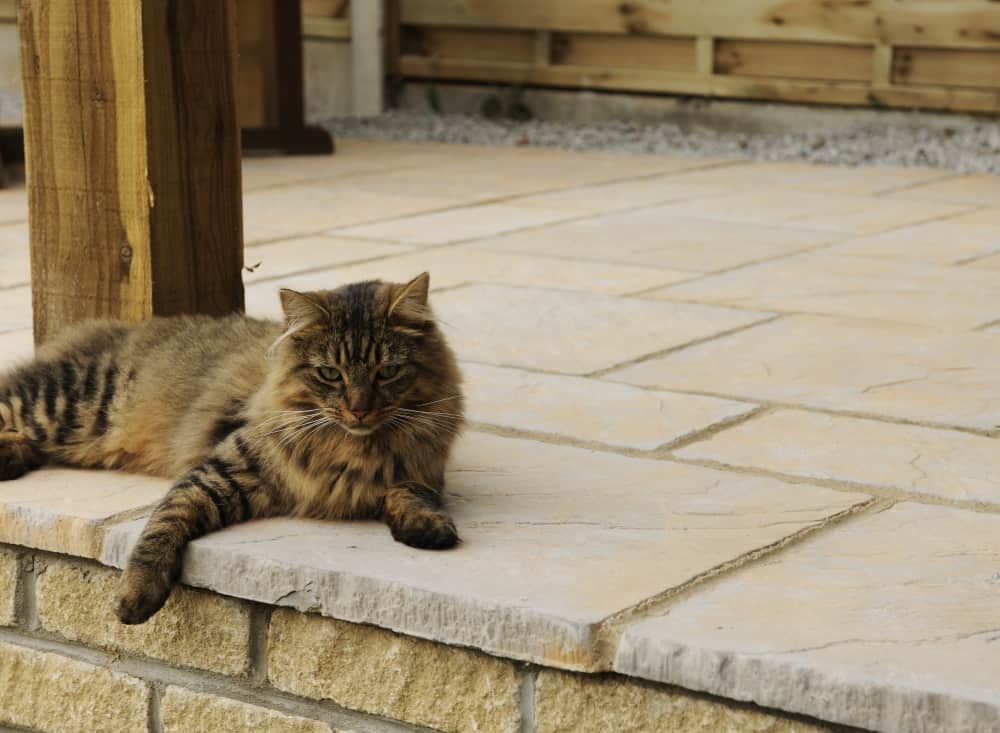 Ashwell Patio Kit Honey Brown 2.7 X 2.7m 7.29m2 - Image 3