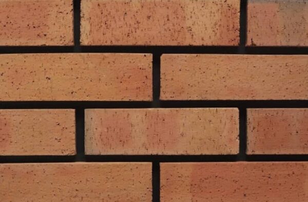 Kingscourt Autumn Dragface Brick 65mm