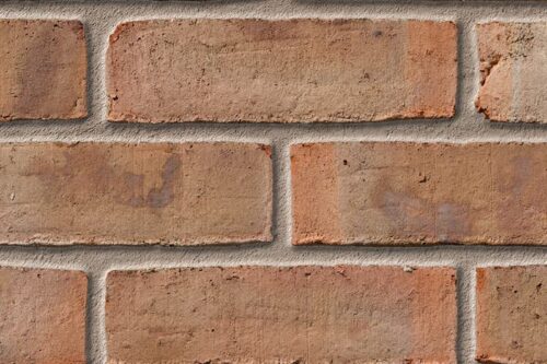 Birtley Olde English Buff