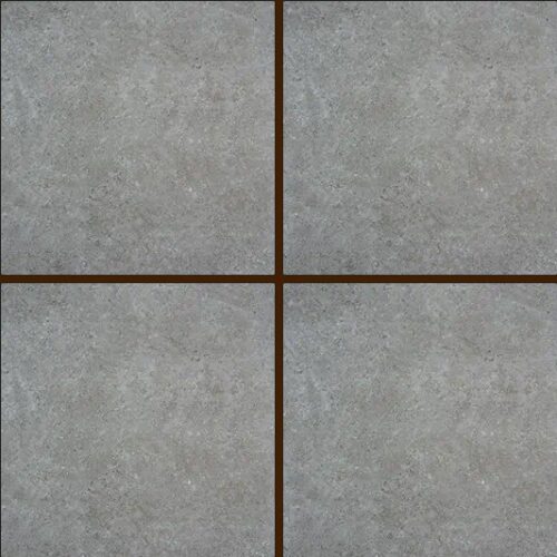 Gemini Fossil 600x600 1