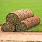 Turf Lifestyle